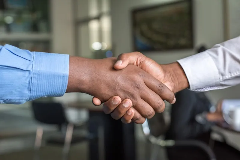 Business Partnership Agreement